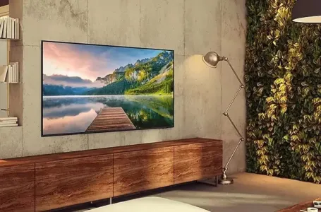 Samsung 163 cm (65 inch) Ultra HD (4K) LED Smart Tizen TV ((UA65AU8000)